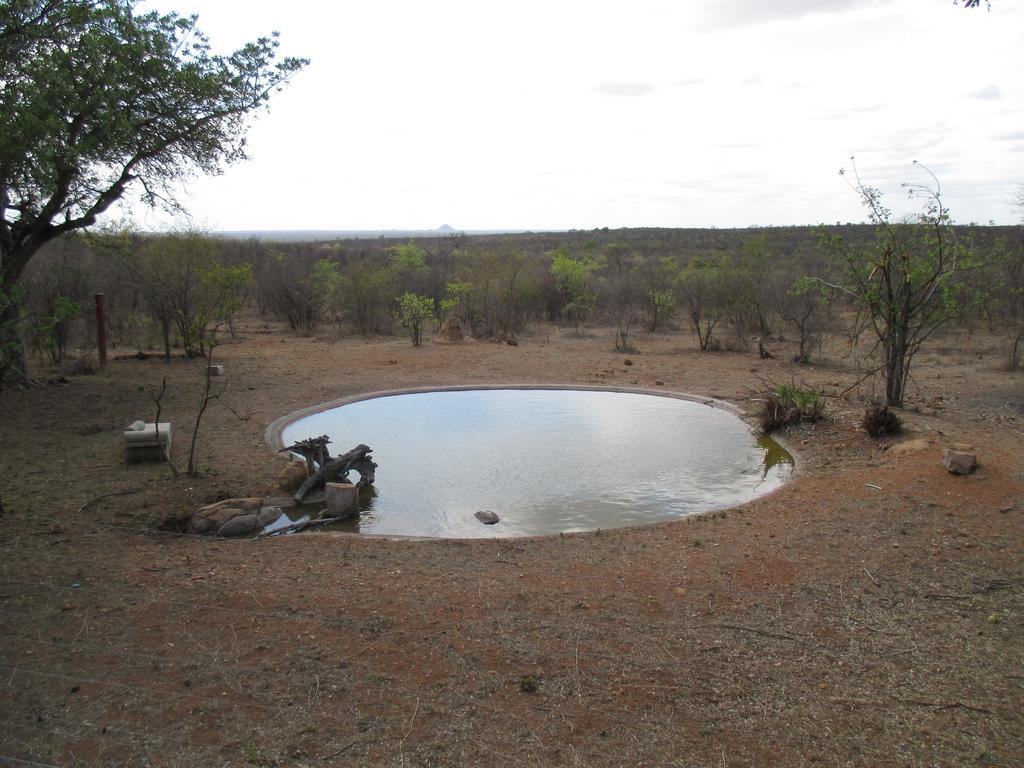 Tingala Lodge - Bed In The Bush Phalaborwa Luaran gambar